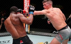 Бонусы турнира UFC Fight Night 183: Стивен Томпсон - Джефф Нил