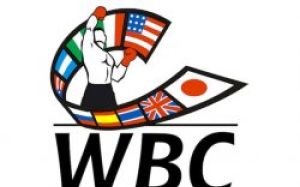 Обновился рейтинг WBC: Ковалёв, Хитров и Постол обосновались на второй позиции 