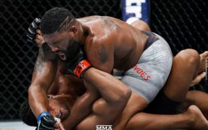 Прелимы турнира UFC 225 посмотрело 667 000 телезрителей