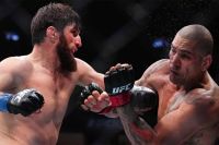 Анкалаев – Перейра: Главные новости UFC, предыстория и прогноз реванша