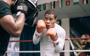 В WBC санкционируют бой Дэвина Хэйни и Райана Гарсии