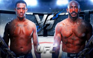 UFC on ABC 8. Смотреть онлайн прямой эфир