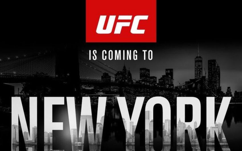 Видео: Обмен взглядами участников UFC 205