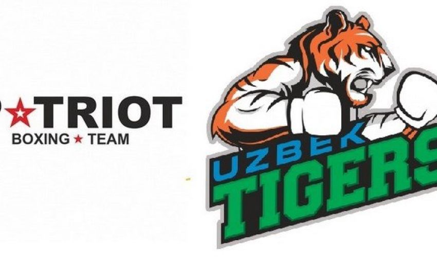 Прямая трансляция WSB: Patriot Boxing Team - Uzbek Tigers
