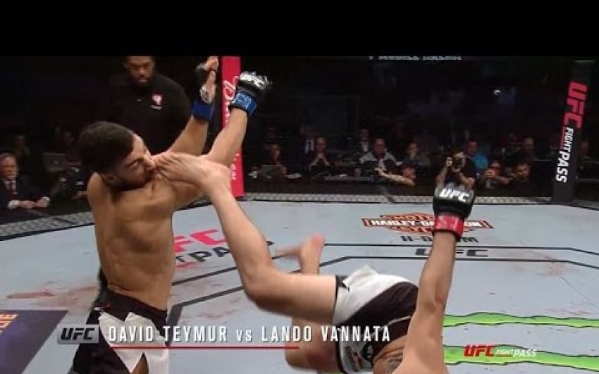 UFC 209 в замедленном повторе