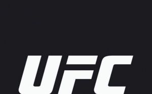 Рейтинг бойцов UFC за май 2019 года 