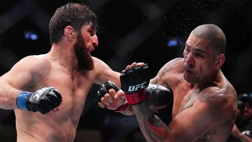 Анкалаев – Перейра: Главные новости UFC, предыстория и прогноз реванша