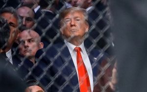 Джо Роган: "Фанаты высмеяли Дональда Трампа на UFC 244"