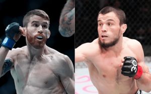 Ставки на UFC on ABC 7: Коэффициенты на турнир Кори Сандхаген – Умар Нурмагомедов