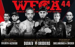 Файткард турнира WFCA 44
