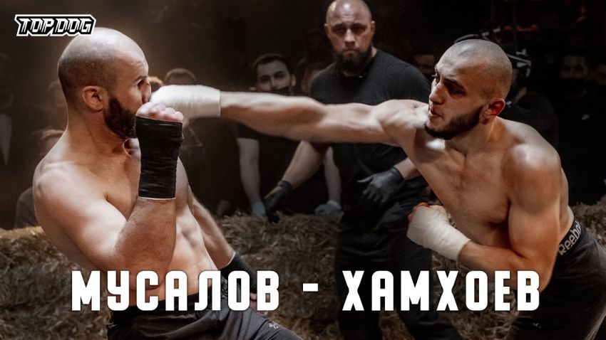 Видео боя Ислам Хамхоев - Махмуд Мусалов TDFC 7