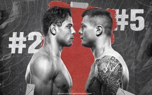 Файткард турнира UFC Fight Night 196