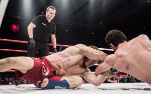 Чемпионат мира по ММА пройдет 26-29 ноября в Праге