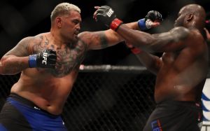Зарплаты участников турнира UFC Fight Night 110 + выплаты от REEBOK