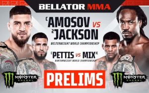 РП ММА №43 (BELLATOR 301): 18 ноября