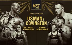 РП ММА №48 (UFC 245): 15 декабря