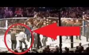 Фанат помогал разнимать бойцов во время драки на UFC 229: Нурмагомедов - Макгрегор