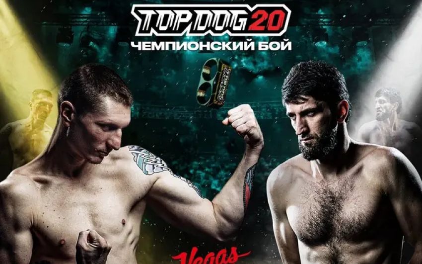 Прямая трансляция Top Dog FC 20