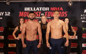 Видео боя Даглас Лима - Костелло ван Стинис Bellator 296