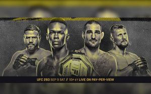UFC 293. Смотреть онлайн прямой эфир