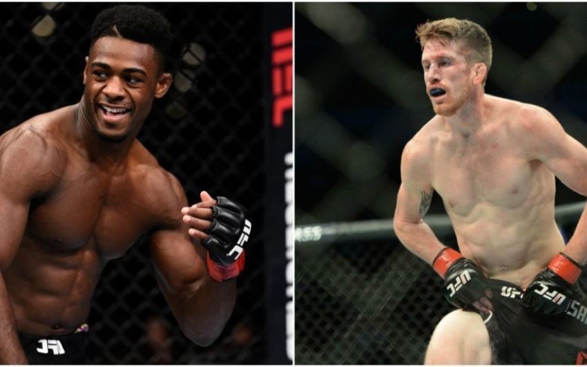Алджамейн Стерлинг - Кори Сандхаген в разработке на UFC в Сан-Диего