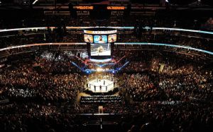 UFC анонсировали первые 4 турнира 2018 года