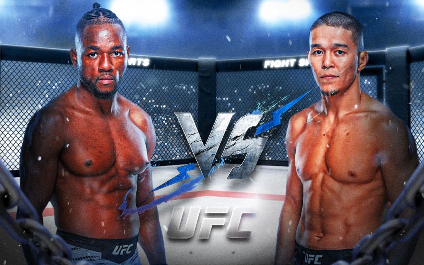 UFC Fight Night 253. Смотреть онлайн прямой эфир