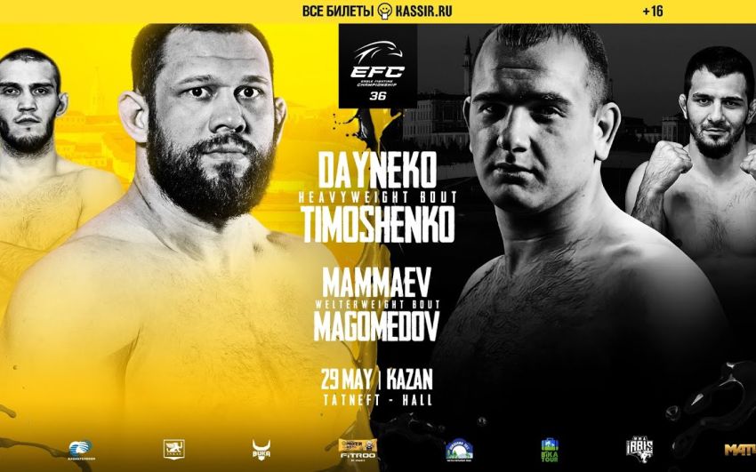 Прямая трансляция EFC 36