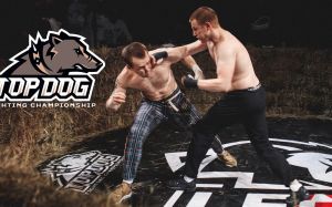 Видео боя Тима "Золотой" Мусаев - Иван "Бульдозер" Савин TDFC 3
