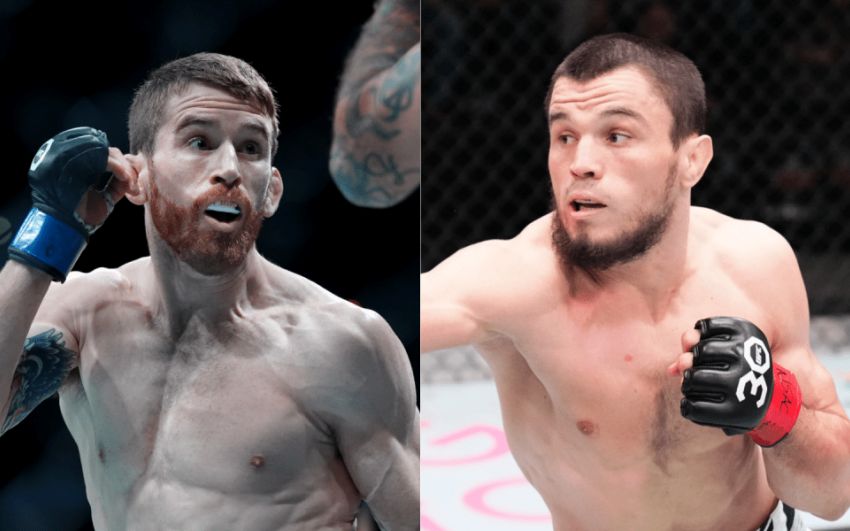 Ставки на UFC on ABC 7: Коэффициенты на турнир Кори Сандхаген – Умар Нурмагомедов