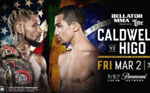 Результаты турнира Bellator 195: Колдуэлл - Иго