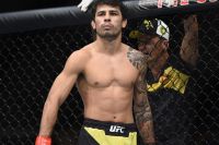 Алешандре Пантойя: "В случае победы на UFC 240 хочу бой с Бенавидесом за "временный" титул"