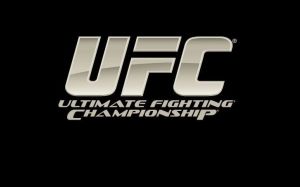Рейтинг бойцов UFC за ноябрь 2018