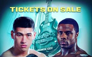 БК Fightnews.info. Тур 35. 24-25 ноября 2018