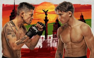 UFC Fight Night 268. Смотреть онлайн прямой эфир