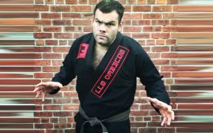Бывший боец UFC Габриэль Гонзага возвращается в БЖЖ