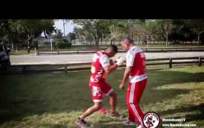 Vitor Belfort & Pedro Diaz - "Training to Win"