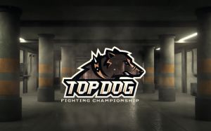 Прямая трансляция Top Dog FC 7: Тимур "Золотой" Мусаев – Искандер "Шеф-повар" Зияев