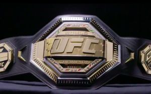 Рейтинг бойцов UFC за август 2019 года