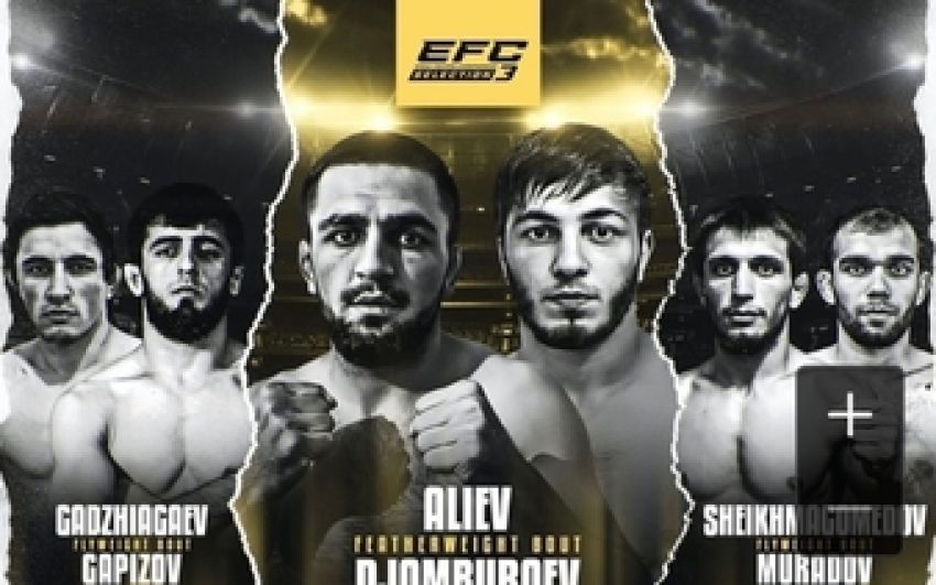 Прямая трансляция EFC: Selection 3