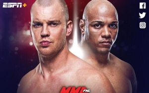Стефан Штруве - Маркос Рожерио де Лима на турнире UFC в Праге