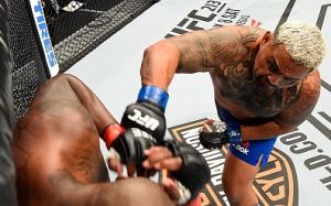 Видео боя Деррик Льюис - Марк Хант UFC Fight Night 110