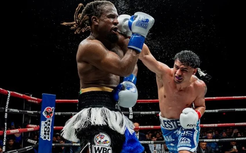 Лестер Мартинес одолел Имманувеля Алима и стал временным чемпионом WBC