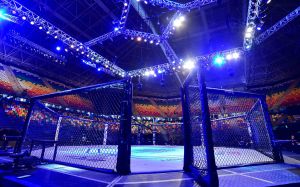 UFC планирует провести в июне первый турнир в Казахстане