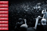В UFC могут появиться новые дивизионы