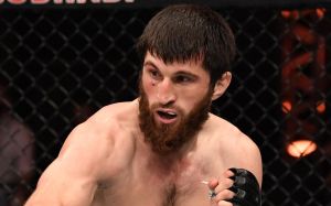 Магомед Исмаилов считает Анкалаева чемпионом UFC: "Не знаю, куда смотрели судьи, но грабить они умеют"