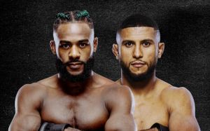 Прямая трансляция UFC Fight Night 274