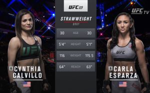 Видео боя Синтия Калвильо - Карла Эспарза UFC 219