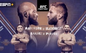 Файткард турнира UFC Fight Night 167: Кори Андерсон - Ян Блахович 2