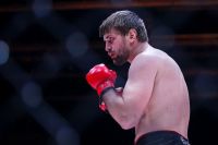 Виталий Минаков: "Не посмею драться с Федором Емельяненко"